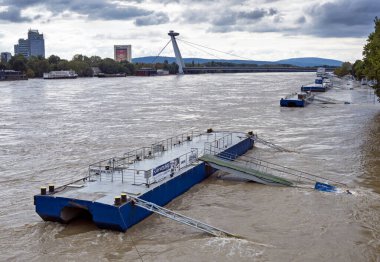 Bratislava 'da 2024 yılında Tuna Nehri' ni sel bastı, Slovakya.