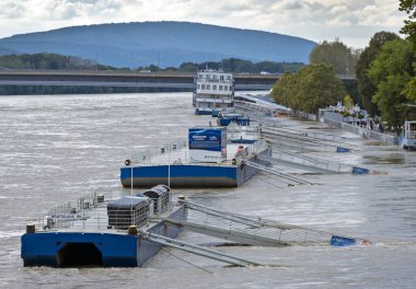 Bratislava 'da 2024 yılında Tuna Nehri' ni sel bastı, Slovakya.