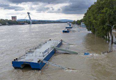 Bratislava 'da 2024 yılında Tuna Nehri' ni sel bastı, Slovakya.