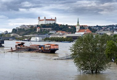 Bratislava 'da 2024 yılında Tuna Nehri' ni sel bastı, Slovakya.
