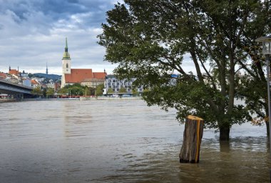 Bratislava 'da 2024 yılında Tuna Nehri' ni sel bastı, Slovakya.