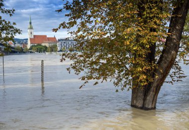 Bratislava 'da 2024 yılında Tuna Nehri' ni sel bastı, Slovakya.