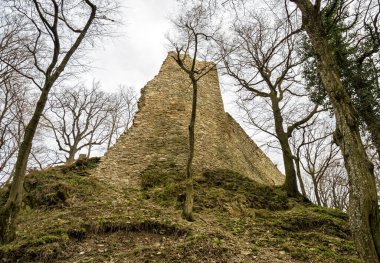 Bratislava, Slovakya yakınlarındaki Beyaz Taş Kale 'nin kalıntıları..