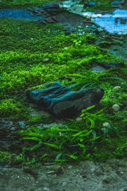 Botlardan, eski terk edilmiş fabrikadan, metalden, taştan, kumdan, doğa anadan doğan bitkilerden, doğa büyümekte.