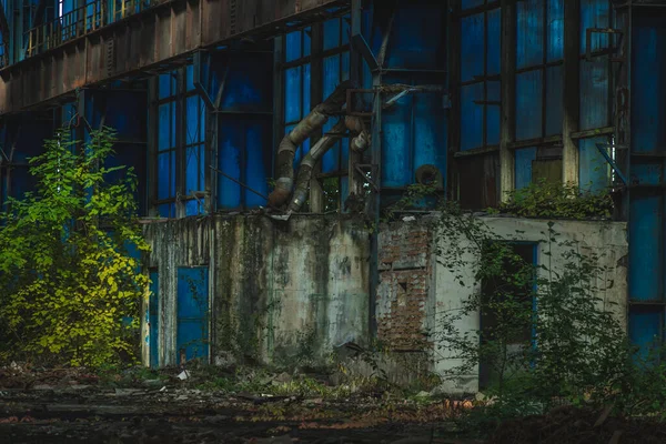 Natur Die Aus Einer Alten Verlassenen Fabrik Wächst Pflanzen Aus — Stockfoto