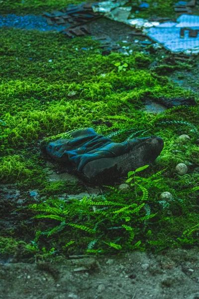 Natureza Crescendo Partir Botas Sapatos Antiga Fábrica Abandonada Plantas Subindo — Fotografia de Stock