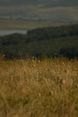 Güzel manzara, renkli doğa, dünya görüşü, Romanya