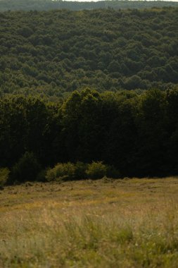 Güzel manzara, renkli doğa, dünya görüşü, Romanya