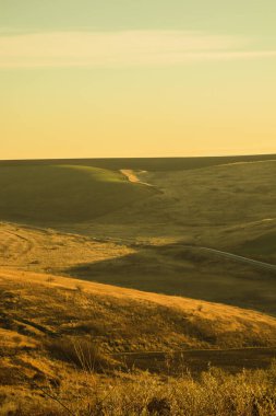Renkli topraklar, çimen ve ağaçların dalgaları, Dünya 'nın üzerinde parlayan ılık ışık, güneş.