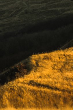 Renkli topraklar, çimen ve ağaçların dalgaları, Dünya 'nın üzerinde parlayan ılık ışık, güneş.