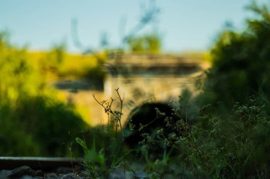 Bir tren tünelinin güzel girişi, güzel güneş ve doğa, terk edilmiş