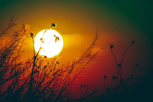 Sunset and beautiful light, sunlight illuminating the colorful sky, clouds, beautiful nature