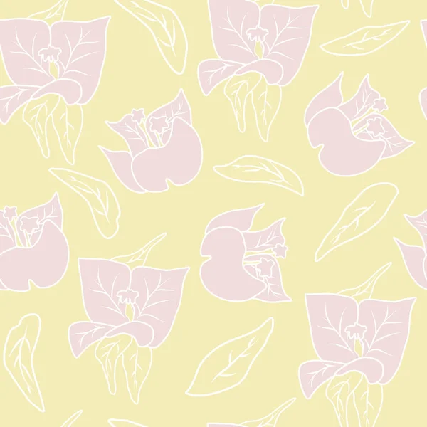 Aranyos Varrat Nélküli Vektor Minta Illusztráció Rózsaszín Bougainvillea Virágok Levelek — Stock Vector