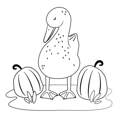 Beyaz arka planda renklendirme sanatı için şükran günü tatili için izole edilmiş balkabağı vektör illüstrasyonlu siyah beyaz çizgi film karakteri ördek.
