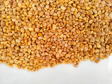 Brown color raw whole dry Chironji nuts isolated on white background