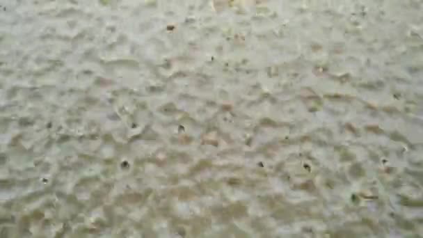 Llueve Mucho Los Campos Tierra Granja Movimiento Lento Gotas Lluvia — Vídeo de stock
