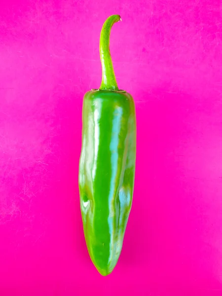 A fresh green spicy pepper. isolated on pink background.