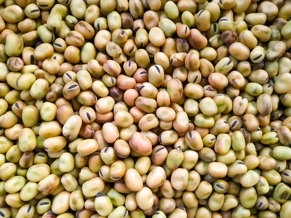 Широкие Бобы Рынке Крупным Планом Широкие Семена — стоковое фото