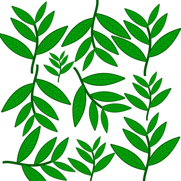 Набір Зелених Листя Ізольовано Білому Тлі Ілюстрація Вашого Дизайну — стокове фото