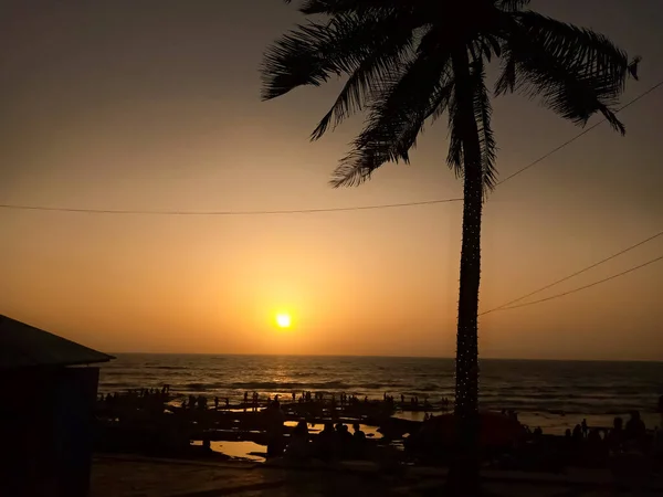 日落在海滩上 棕榈树在前景 大海在背景 — 图库照片