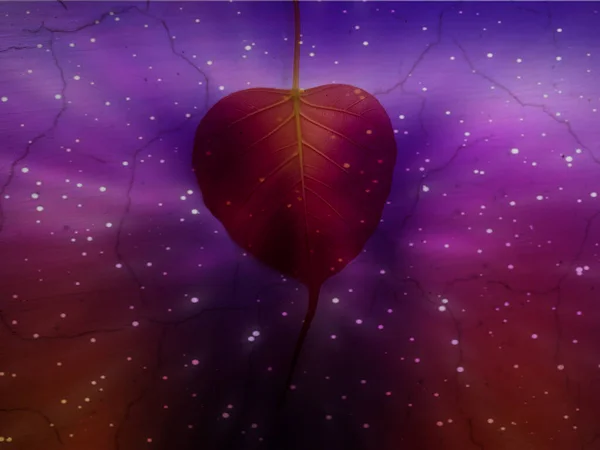 情人节的背景是心形的叶子和星星 — 图库照片