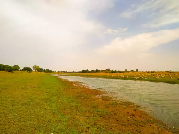 青い空の下に小さな川と緑の芝生と農村風景 — ストック写真