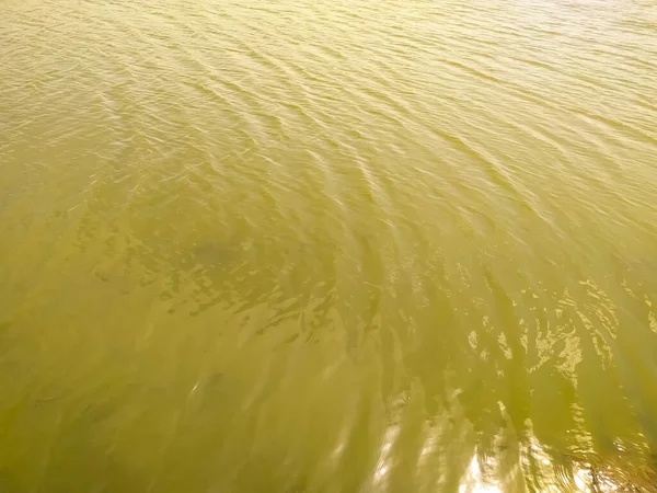 湖に波紋が広がる水面や写真のクローズアップ — ストック写真
