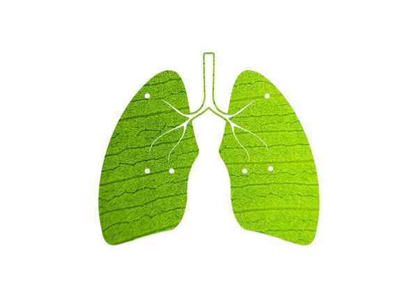 Hoja Verde Forma Pulmón Humano Ilustración Vector Conceptual Forma Pulmonar — Vector de stock