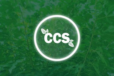 Karbon Yakalama Deposu 'nun kısaltması olan CCS doğa arka planında yeşil yaprakları olan Circle' da. Sıfır aksiyon konsepti. Enerji tasarrufu, yeşil enerji, karbon ayak izini azaltma, karbon yakalama. Dünya çevresi günü
