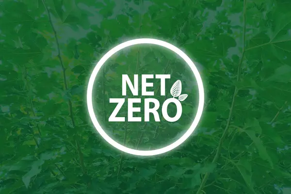 Net zero and carbon neutral concept.Net Zero text in neon circle with green leaves. for net zero greenhouse gas emissions target Climate neutral long term strategy on a green background. Carbon Neutrality.