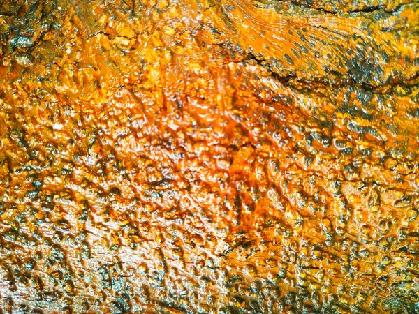 Zbliżenie Wodno Mokrej Kory Drzewa Teksturowanym Tle — Zdjęcie stockowe