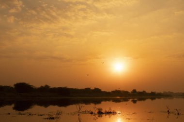 Hindistan 'da, nehrin üzerinde güzel bir günbatımı var.