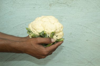 Mavi arka plandaki bir adamın ellerinde karnabahar