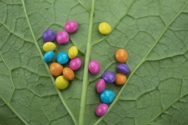 Yeşil yaprak arkaplanda renkli şekerler. Üst görünüm.