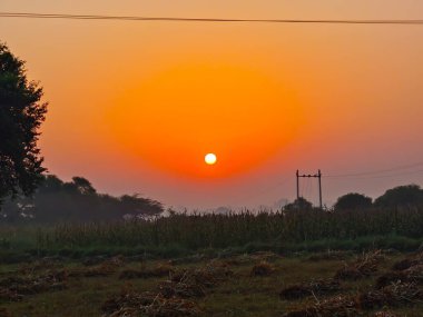 Hindistan, Rajasthan kırsalında darı tarlasında inanılmaz bir gün batımı.
