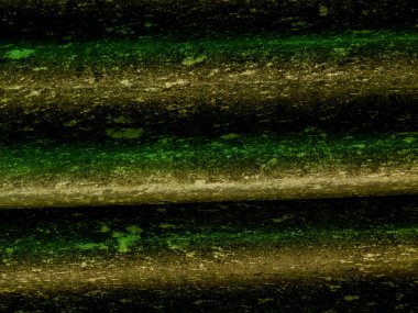 Koyu yeşil kıvrımlı çimento tabakasının arka planını kapatın. Tasarım için soyut arkaplan.