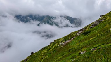 Bereketli Uçurum Ormanı ve Atmosferik Bulutlu Sisli Vadi Dağları