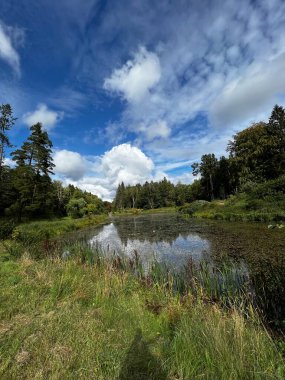 Sonbaharda ağaçların ve çalıların farklı renklerde olduğu bir park. Ağaçların su aynasında yansıyan gölün içinde.
