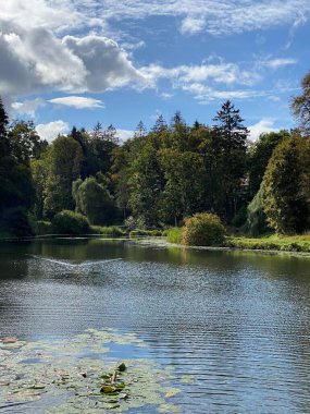 Sonbaharda ağaçların ve çalıların farklı renklerde olduğu bir park. Ağaçların su aynasında yüzen vahşi ördeklerin olduğu bir gölet.