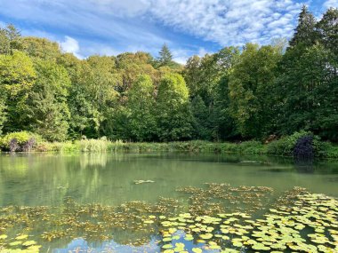 Sonbaharda ağaçların ve çalıların farklı renklerde olduğu bir park. Ağaçların su aynasında yansıyan gölün içinde.