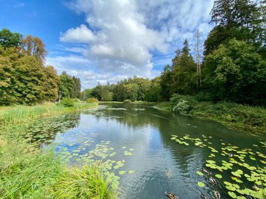 Sonbaharda ağaçların ve çalıların farklı renklerde olduğu bir park. Ağaçların su aynasında yüzen vahşi ördeklerin olduğu bir gölet.