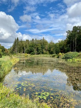 Sonbaharda ağaçların ve çalıların farklı renklerde olduğu bir park. Ağaçların su aynasında yansıyan gölün içinde.