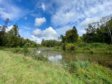 Sonbaharda ağaçların ve çalıların farklı renklerde olduğu bir park. Ağaçların su aynasında yansıyan gölün içinde.