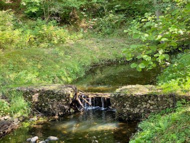 Sonbaharda ağaçların ve çalıların farklı renklerde olduğu bir parkın içinden şelale akan bir nehir.