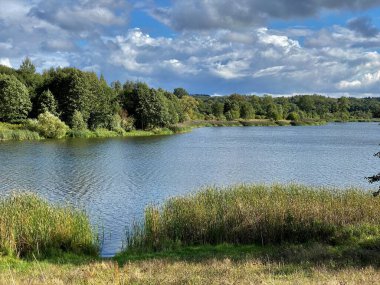 Sonbaharda ağaçların ve çalıların farklı renkleri ile park et. Su aynasındaki bir su kütlesi. Ağaçların yansıması.