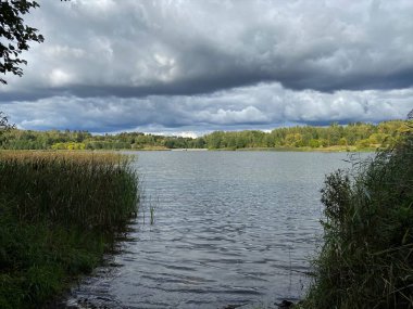 Sonbaharda ağaçların ve çalıların farklı renkleri ile park et. Su aynasındaki bir su kütlesi. Ağaçların yansıması.