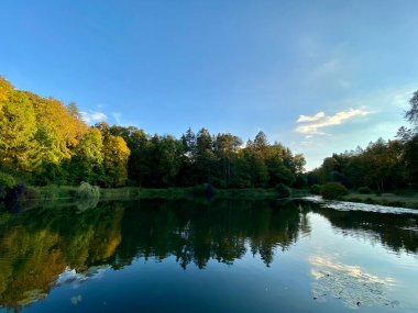Sonbaharda ağaçların ve çalıların farklı renklerde olduğu bir park. Ağaçların su aynasında yüzen vahşi ördeklerin olduğu bir gölet.