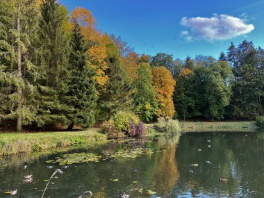 Sonbaharda ağaçların ve çalıların farklı renklerde olduğu bir park. Ağaçların su aynasında yansıyan gölün içinde.