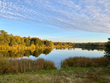 Sonbaharda ağaçların ve çalıların farklı renkleri ile park et. Su aynasındaki bir su kütlesi. Ağaçların yansıması.