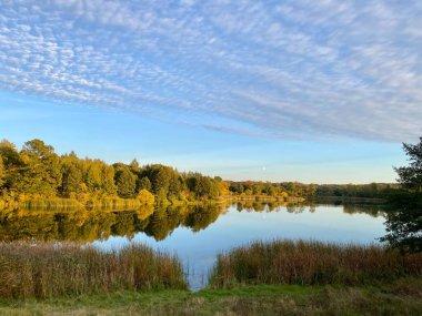 Sonbaharda ağaçların ve çalıların farklı renkleri ile park et. Su aynasındaki bir su kütlesi. Ağaçların yansıması.